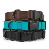 Treusinn Biothane Halsband 25mm Super Stay – nachhaltiges, wasserfestes Hundehalsband in veganer Biothane®-Qualität, ideal für Hunde aller Größen