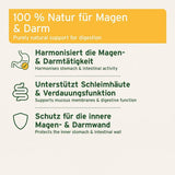 Grafische Darstellung von Text und Symbolen zu den Vorteilen eines natürlichen Produkts zur Unterstützung der Magen- und Darmfunktion. Die Punkte beinhalten: "Harmonisiert die Magen- & Darmtätigkeit", "Unterstützt Schleimhäute & Verdauungsfunktion", "Schutz für die innere Magen- & Darmwand". Zu jedem Punkt gibt es passende Symbole.