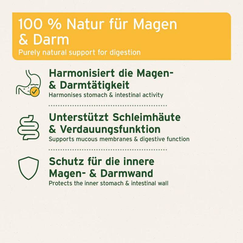 Grafische Darstellung von Text und Symbolen zu den Vorteilen eines natürlichen Produkts zur Unterstützung der Magen- und Darmfunktion. Die Punkte beinhalten: "Harmonisiert die Magen- & Darmtätigkeit", "Unterstützt Schleimhäute & Verdauungsfunktion", "Schutz für die innere Magen- & Darmwand". Zu jedem Punkt gibt es passende Symbole.