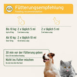 Eine Fütterungsempfehlung für Tiere, mit detaillierten Dosierungsanweisungen für Hunde und Katzen. Für Hunde bis 10 kg: 2 x täglich 5 ml, für Hunde ab 10 kg: 2 x täglich 10 ml. Katzen erhalten 2 x täglich 5 ml. Es wird empfohlen, das Produkt 30 Minuten vor der Fütterung zu verabreichen und es nicht ins Futter zu mischen.