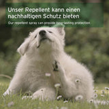 Ein Hund kratzt sich im Gras, während ein Repellent-Spray einen nachhaltigen Schutz bieten kann.