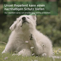 Ein Hund kratzt sich im Gras, während ein Repellent-Spray einen nachhaltigen Schutz bieten kann.