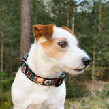 Das Woolly Wolf Hundehalsband Woodland, getragen von einem Hund, zeigt die perfekte Passform und den Komfort des Halsbands bei einem Outdoor-Abenteuer. Das umweltfreundliche Halsband besteht aus recyceltem Polyester und bietet sowohl Stabilität als auch eine sichere