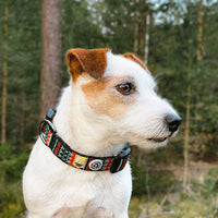 Das Woolly Wolf Hundehalsband Woodland, getragen von einem Hund, zeigt die perfekte Passform und den Komfort des Halsbands bei einem Outdoor-Abenteuer. Das umweltfreundliche Halsband besteht aus recyceltem Polyester und bietet sowohl Stabilität als auch eine sichere